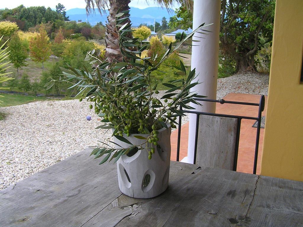 Mapua Hills Studio Rum bild
